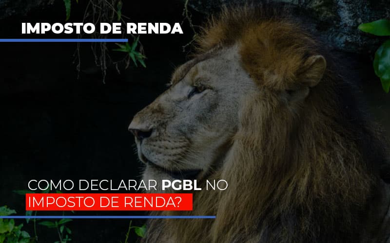 Ir2020:como Declarar Pgbl No Imposto De Renda Notícias E Artigos Contábeis - Contabilidade em São Paulo -SP | Synergy Contabilidade Inteligente