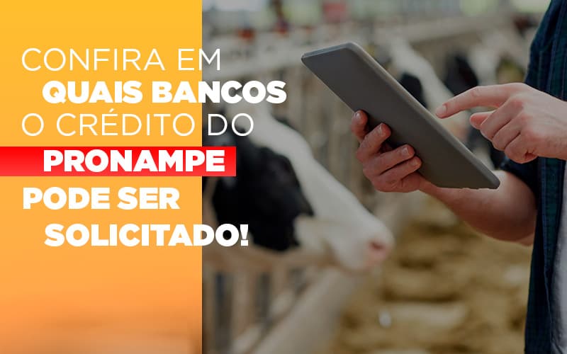 Confira Em Quais Bancos O Credito Pronampe Ja Pode Ser Solicitado Notícias E Artigos Contábeis - Contabilidade em São Paulo -SP | Synergy Contabilidade Inteligente