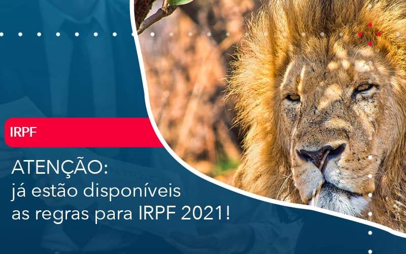 Ja Estao Disponiveis As Regras Para Irpf 2021 Organização Contábil Lawini - Contabilidade em São Paulo -SP | Synergy Contabilidade Inteligente