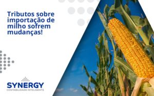 Tributos Sobre Importação De Milho Sofrem Mudanças! Synergy - Contabilidade em São Paulo -SP | Synergy Contabilidade Inteligente