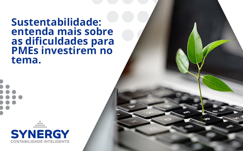 Sustentabilidade Synergy - Contabilidade em São Paulo -SP | Synergy Contabilidade Inteligente