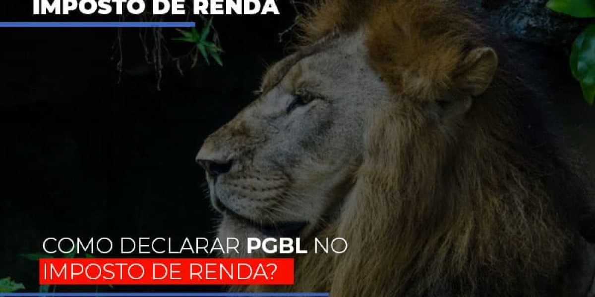 Ir2020:como Declarar Pgbl No Imposto De Renda Notícias E Artigos Contábeis - Contabilidade em São Paulo -SP | Synergy Contabilidade Inteligente