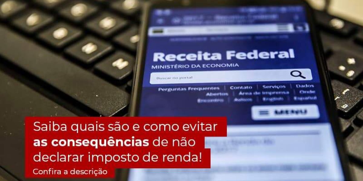 Não Declarar O Imposto De Renda O Que Acontece - Quero montar uma empresa