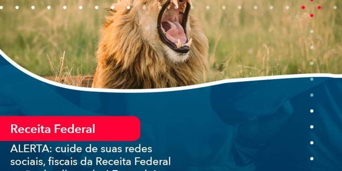 Alerta Cuide De Suas Redes Sociais Fiscais Da Receita Federal Estao De Olho Nela Entenda 1 Organização Contábil Lawini - Contabilidade em São Paulo -SP | Synergy Contabilidade Inteligente
