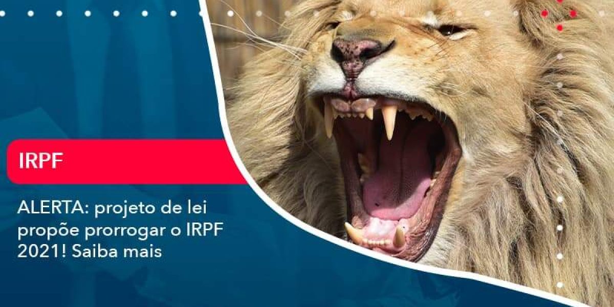 Aterta Projeto De Lei Propoe Prorrogar O Irpf 2021 Saiba Mais 1 Organização Contábil Lawini - Contabilidade em São Paulo -SP | Synergy Contabilidade Inteligente