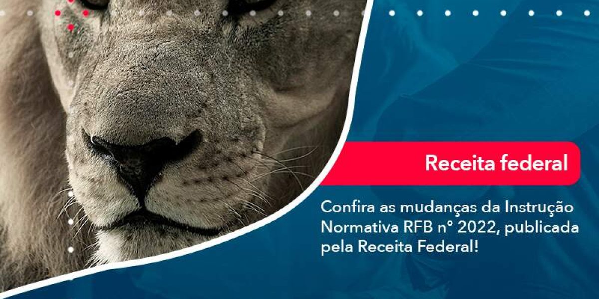 Confira As Mudancas Da Instrucao Normativa Rfb N 2022 Publicada Pela Receita Federal - Quero montar uma empresa