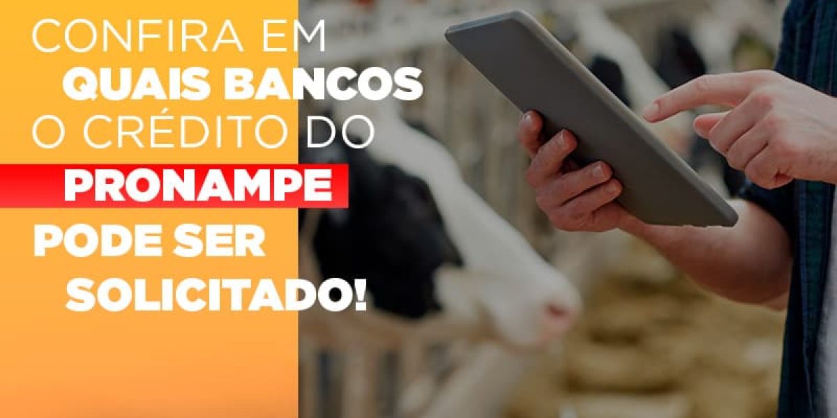 Confira Em Quais Bancos O Credito Pronampe Ja Pode Ser Solicitado Notícias E Artigos Contábeis - Contabilidade em São Paulo -SP | Synergy Contabilidade Inteligente